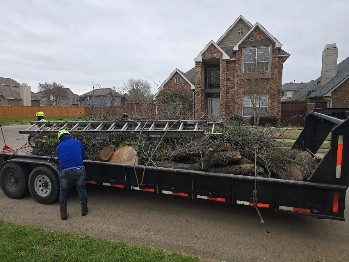 Expert Tree Fertilization with proper safety equipment in Floyds Knobs